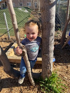 Toddler Playing in the Tree